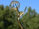My Emmy