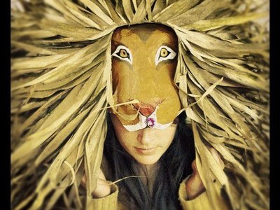 Lion Costume