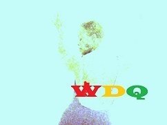 whandah photo