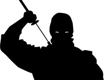 TheNiceNinja photo