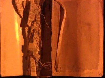 CHEMICAL CASTRATION photo