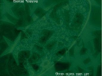 Soon to be released first CD by Amoeba Starfish