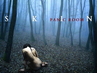 'S K I N'  (2012)  - Album cover - Image by Liliana Sanchez