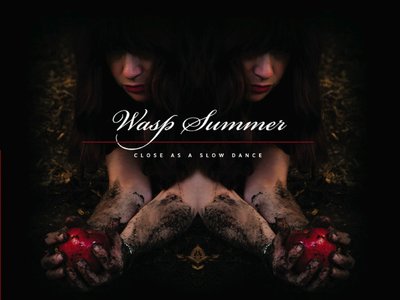 Wasp Summer photo