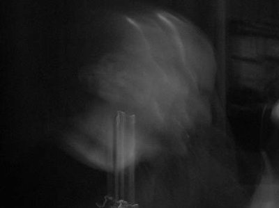OVERPROOF GROOVE photo