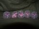 Award winnning Hoglets In A Row pic... get your stamp at RubberHedgehog.com