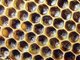 Musicians Hive