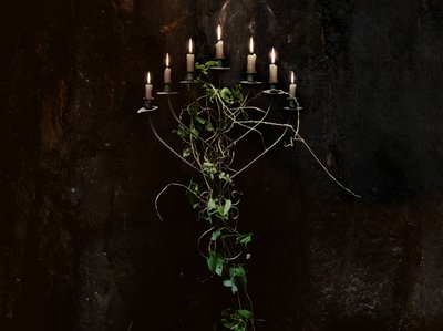 Awaken Solace photo