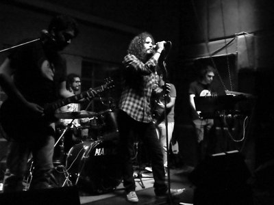 Solarmonkeys photo