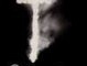 . . . I long to join the ranks of the dead for they know peace. . .