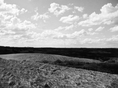 The Land I call Home