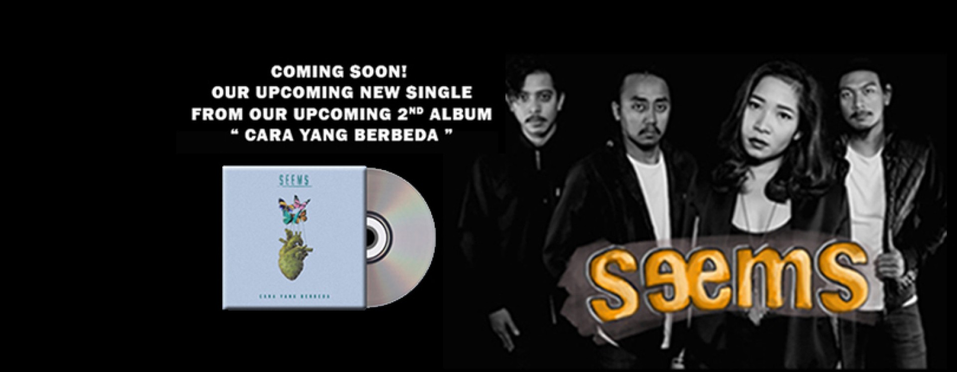 ReverbNation banner for @seems