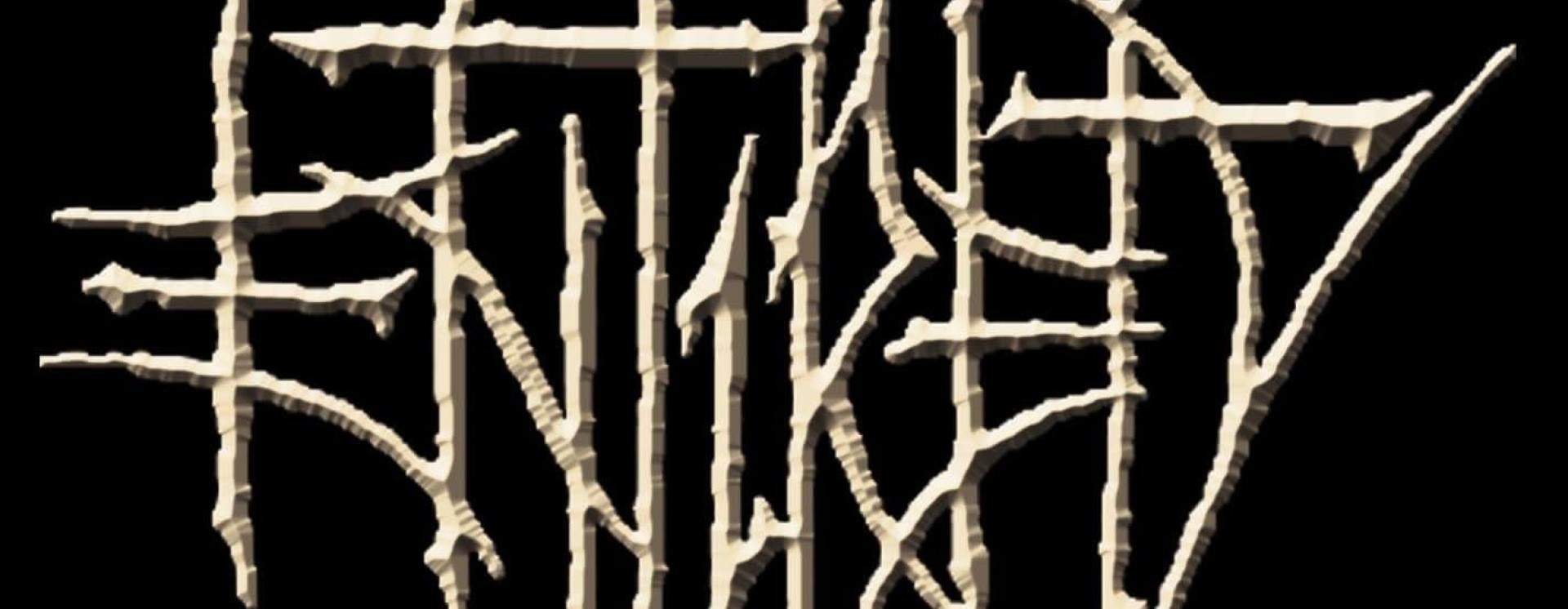 ReverbNation banner for @entirety