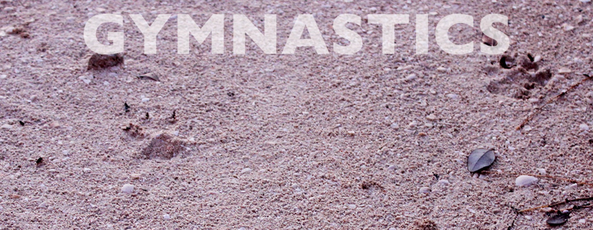 ReverbNation banner for @gymnastics