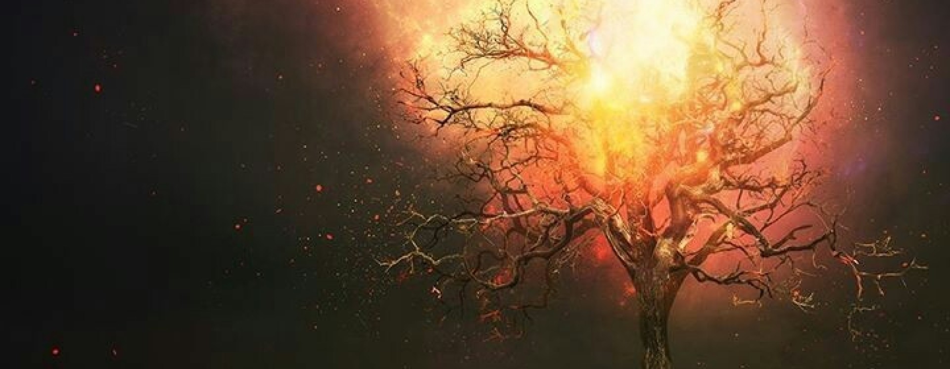 ReverbNation banner for @Copyrights