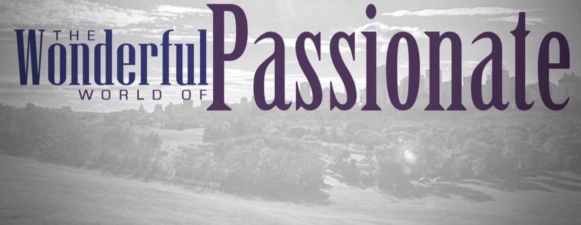 ReverbNation banner for @passionate