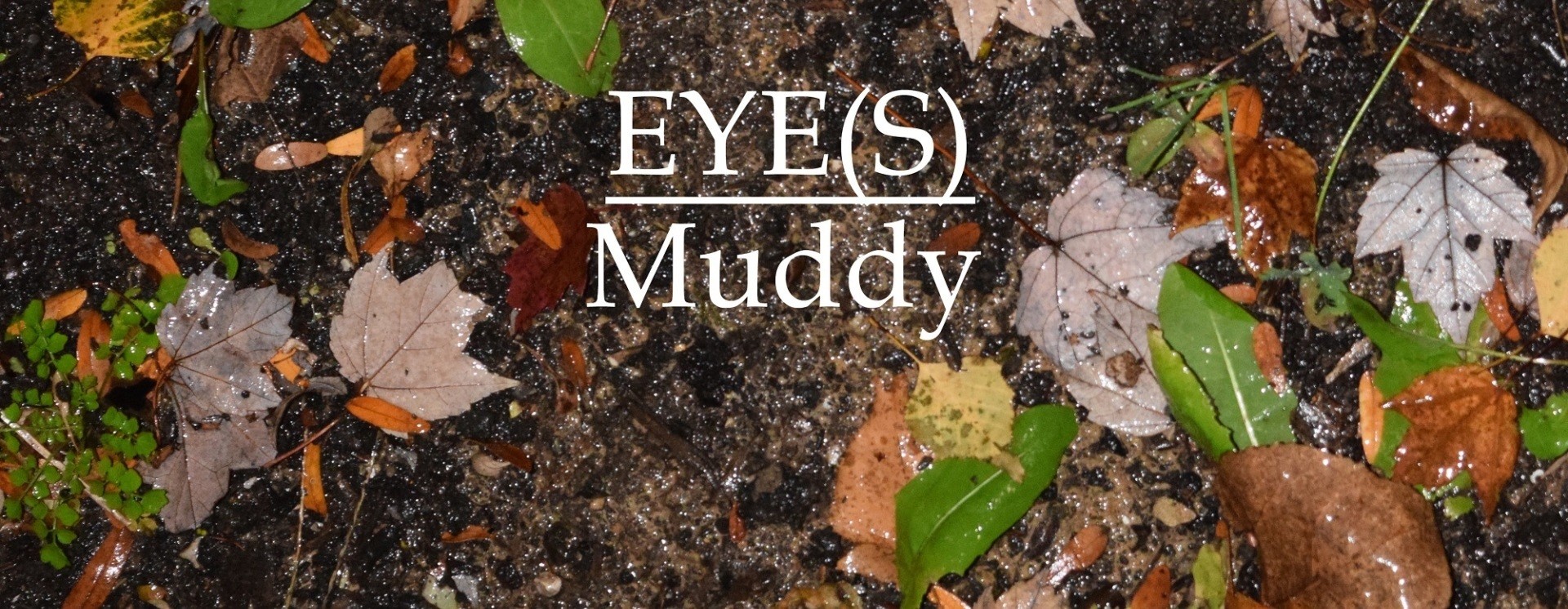 ReverbNation banner for @eyes