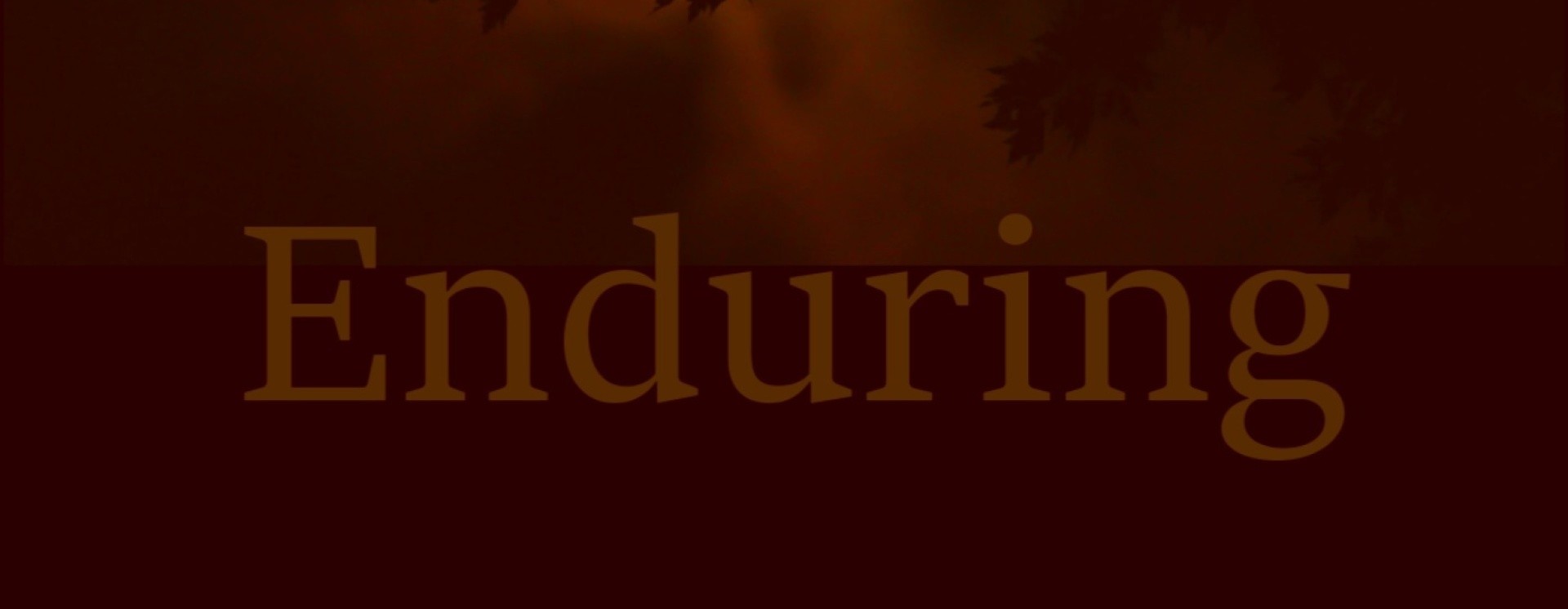 ReverbNation banner for @enduring