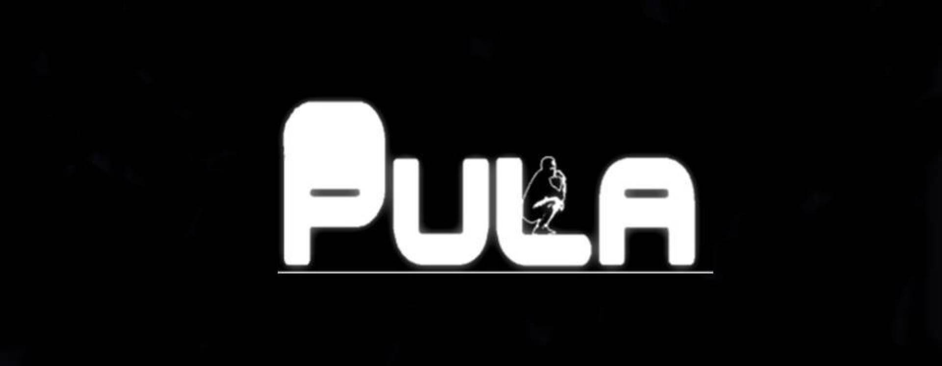 ReverbNation banner for @pula