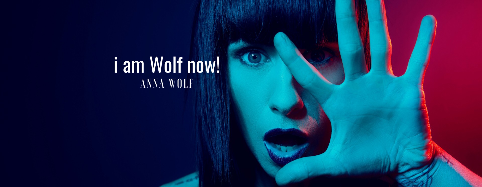 ReverbNation banner for @tailor
