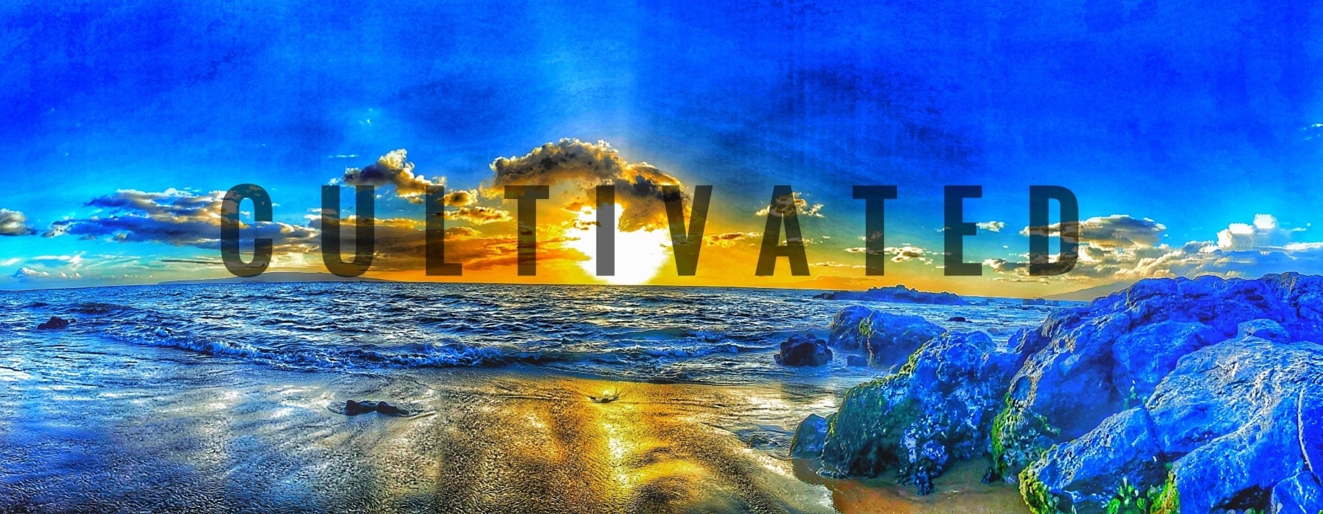 ReverbNation banner for @cultivated