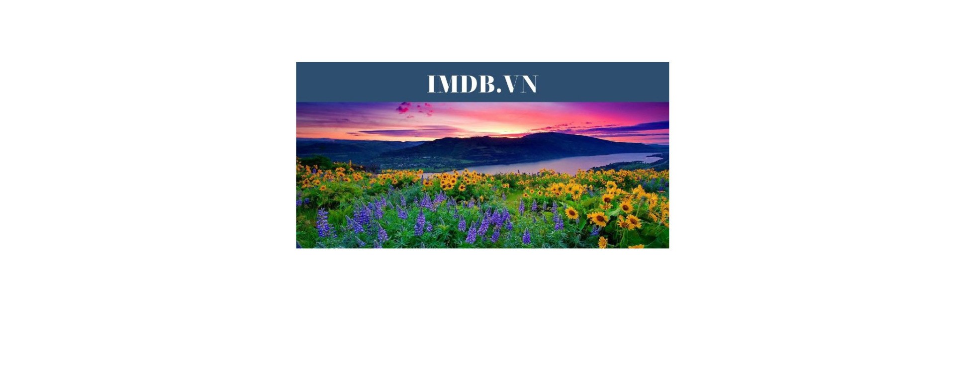 ReverbNation banner for @imdb