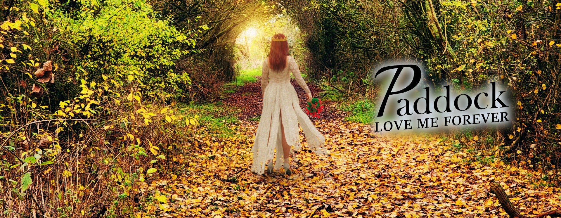 ReverbNation banner for @paddock