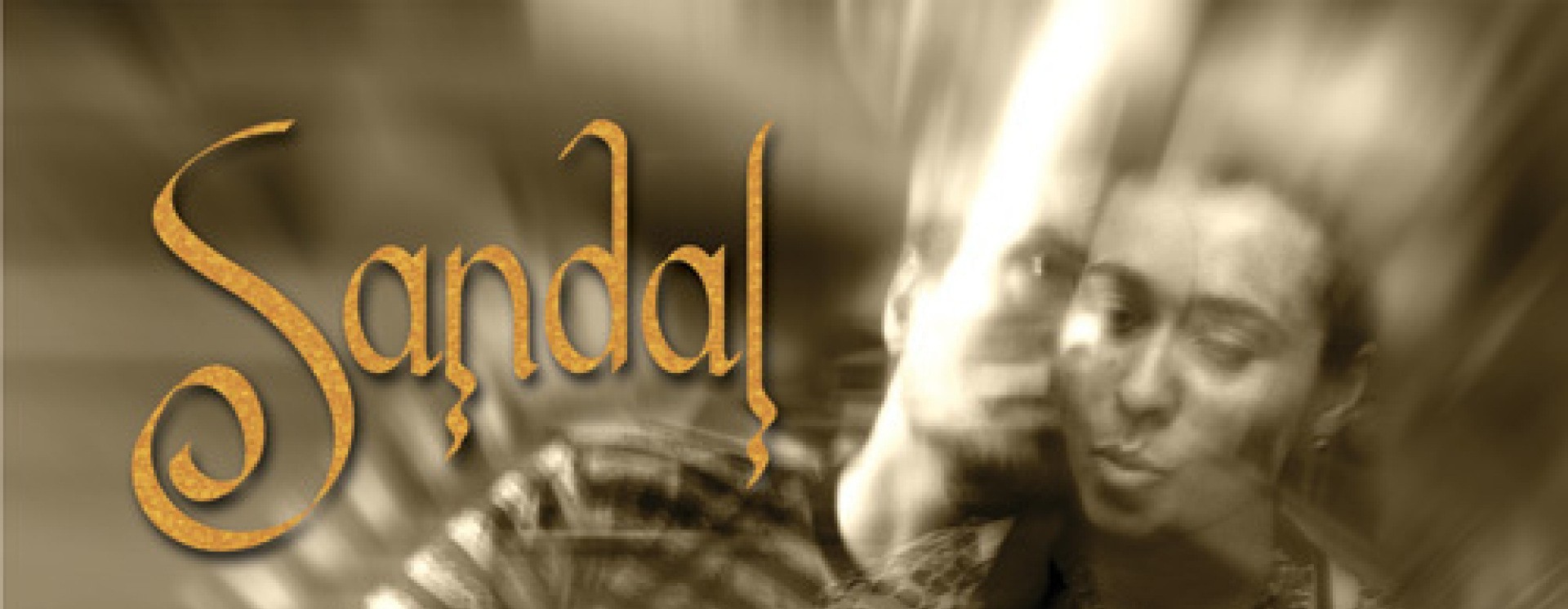 ReverbNation banner for @sandal