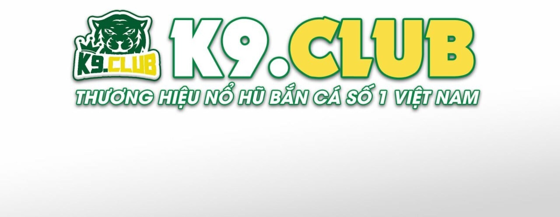 ReverbNation banner for @k9club