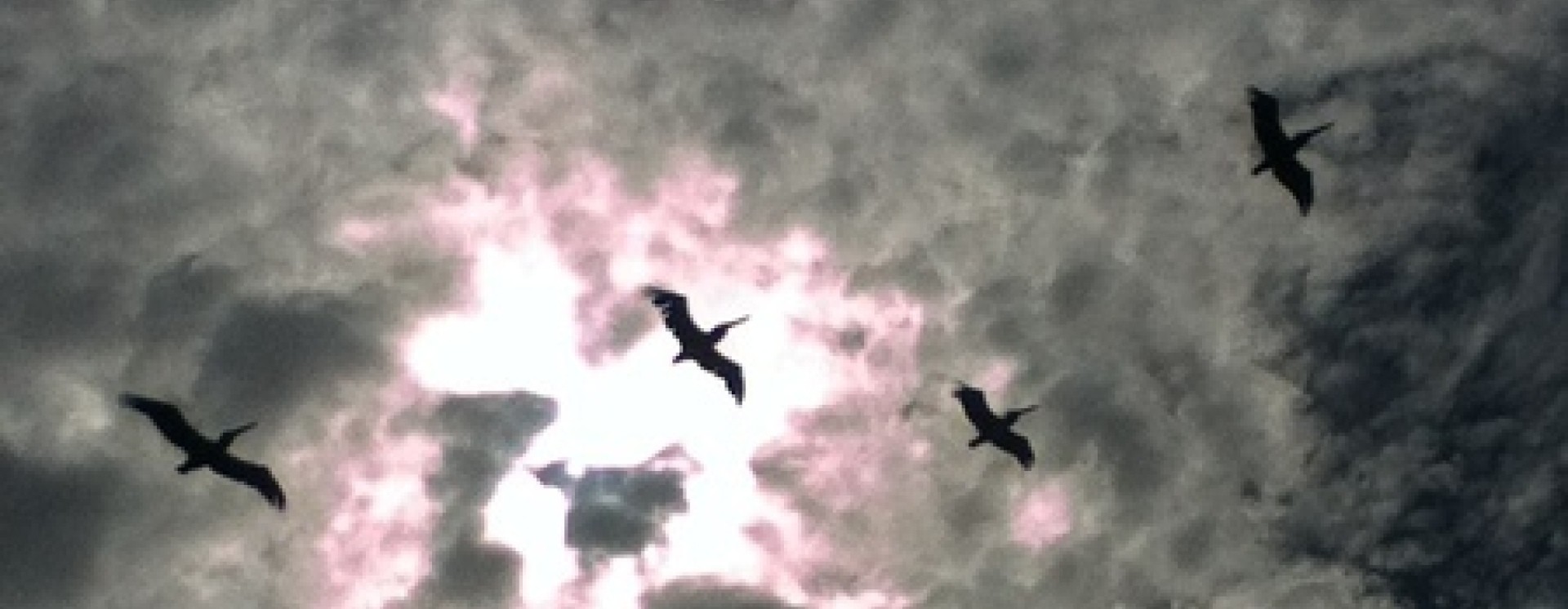 ReverbNation banner for @cranes