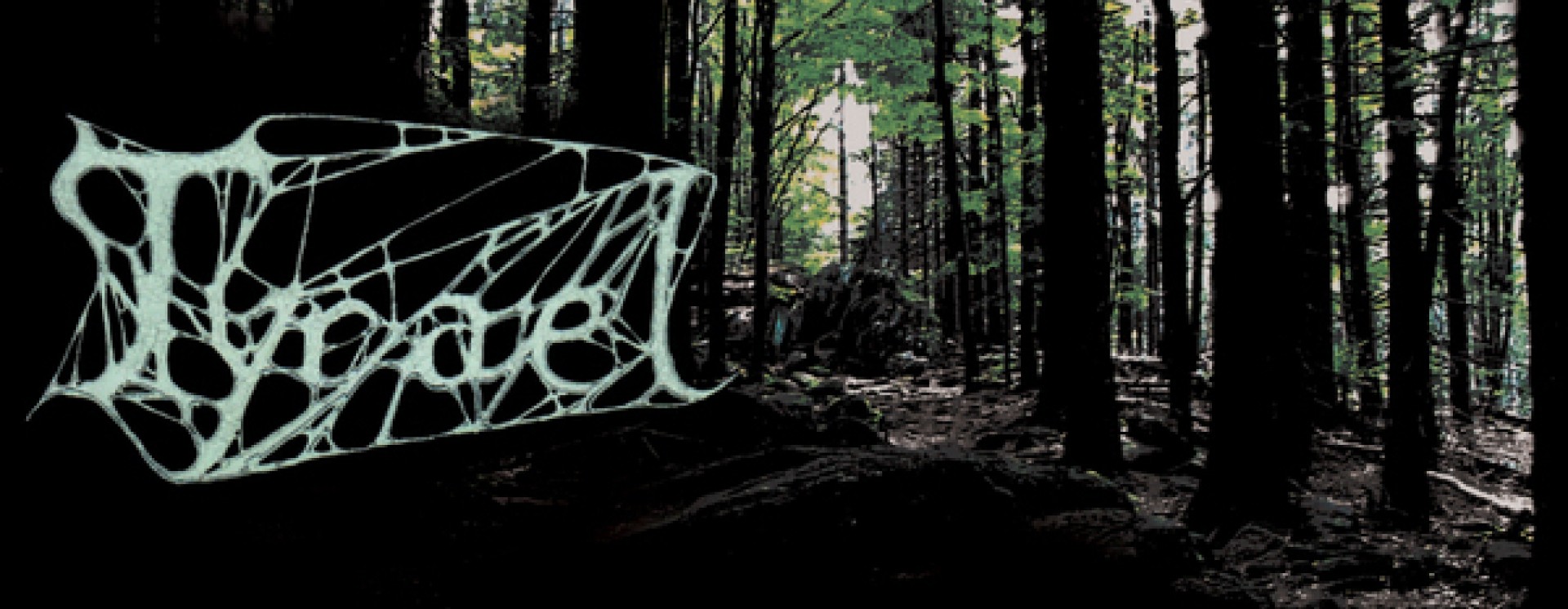 ReverbNation banner for @tyrael