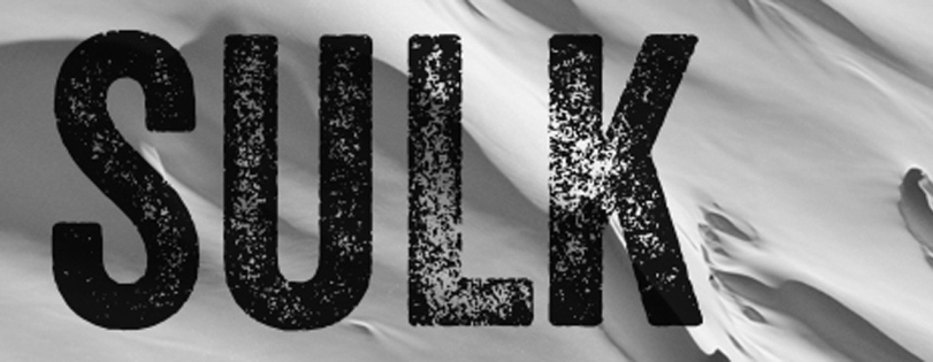 ReverbNation banner for @sulk