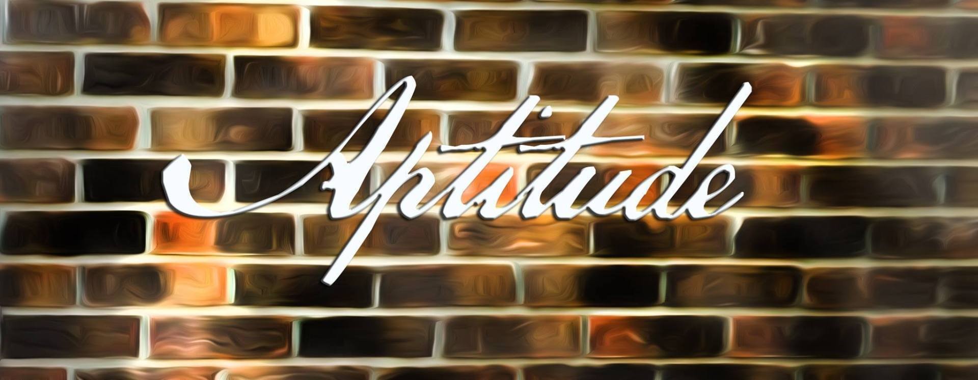 ReverbNation banner for @aptitude