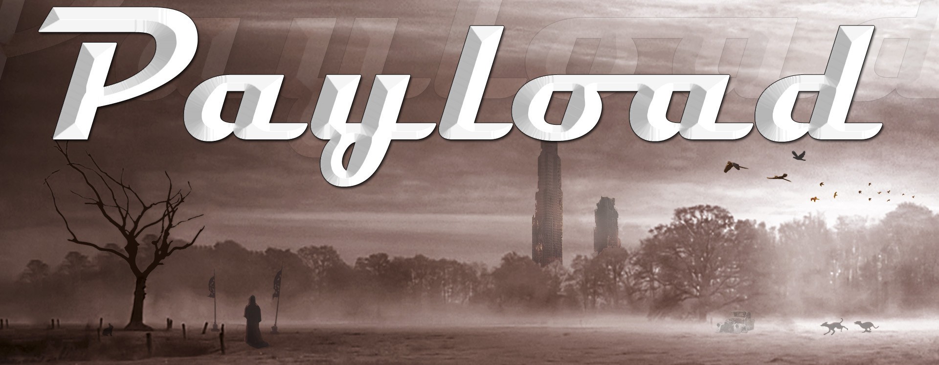 ReverbNation banner for @payload
