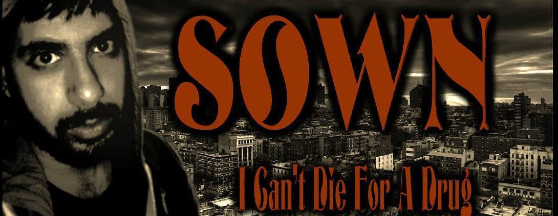 ReverbNation banner for @sown