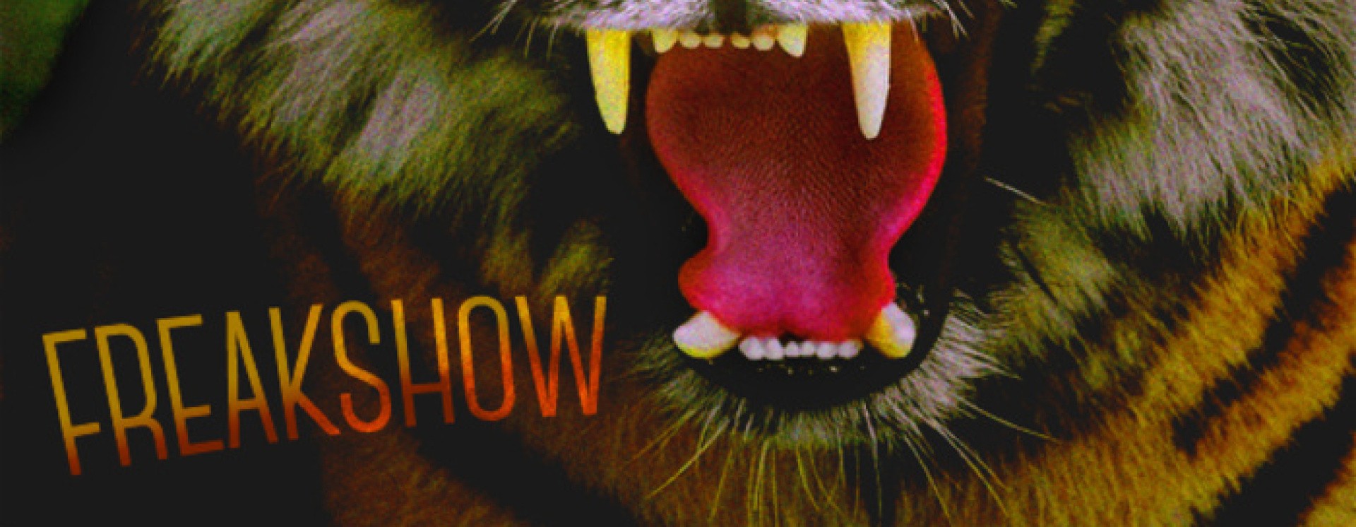 ReverbNation banner for @shale