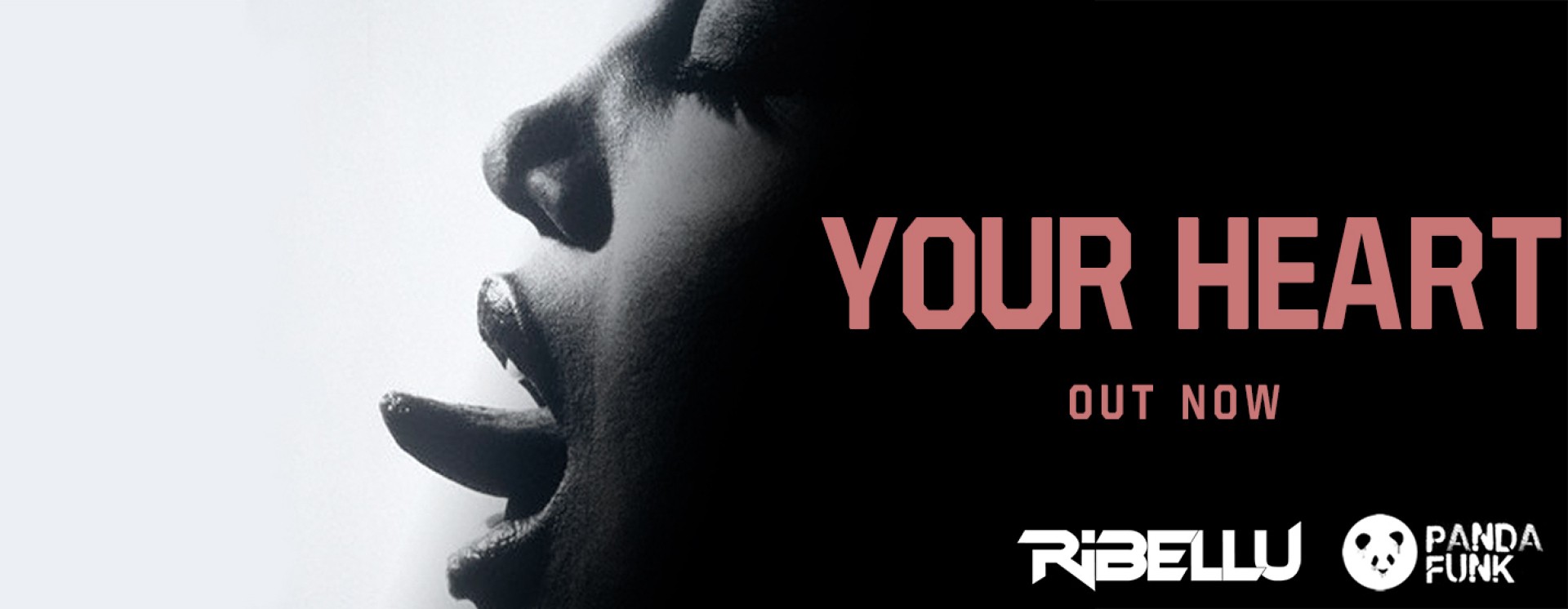 ReverbNation banner for @ribellu