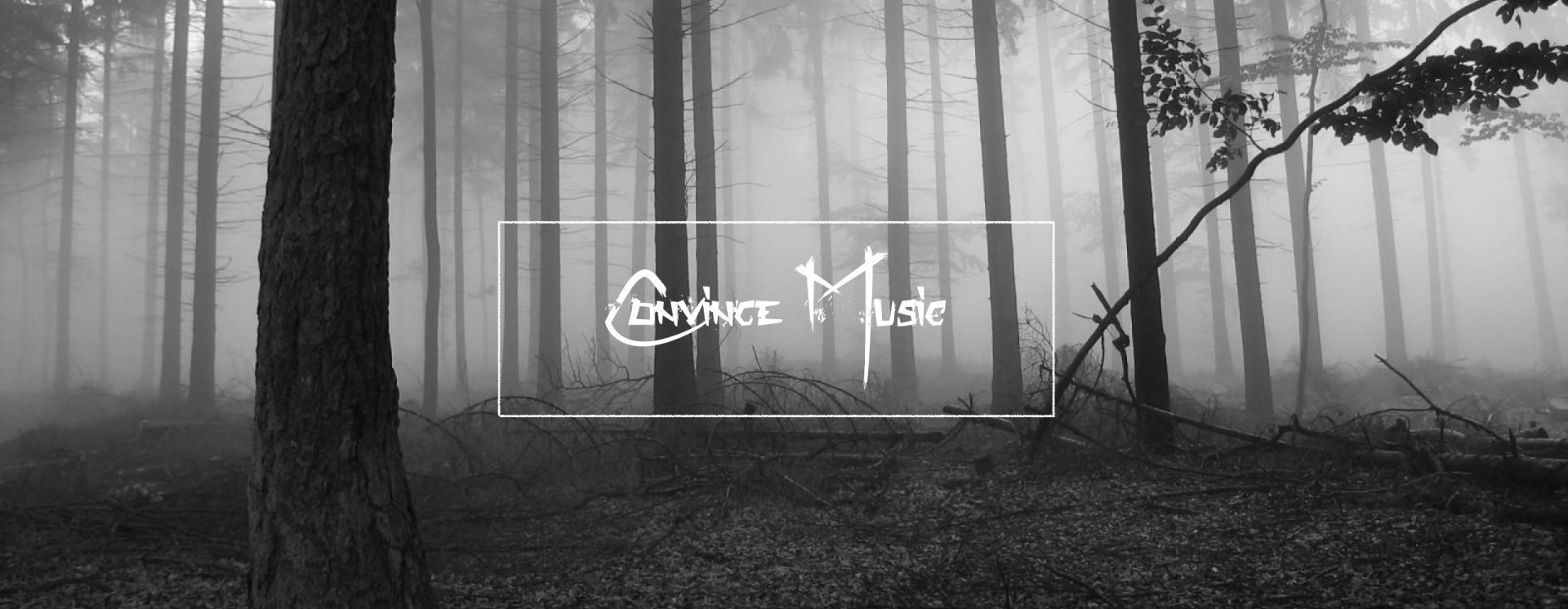 ReverbNation banner for @convince