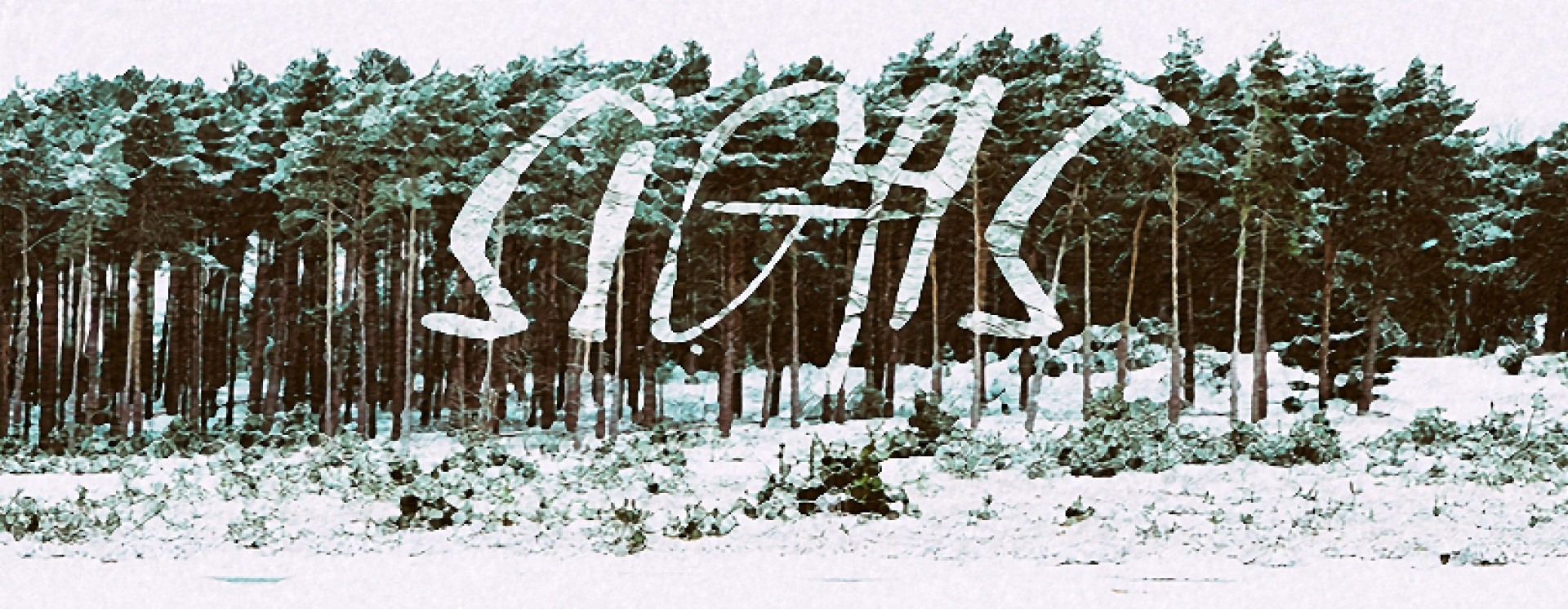 ReverbNation banner for @sighs