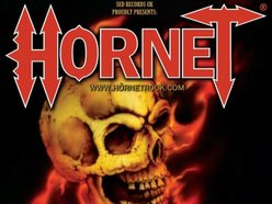 Image for Hornet
