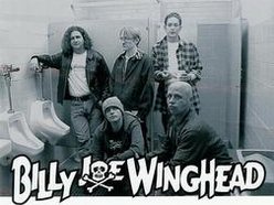 Image for Billy Joe Winghead
