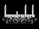 Meadowlark