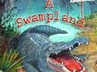 A Swamp Land production @ Don Quixote's Music Hall