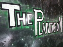 The Plantation