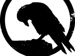 Stone Crow