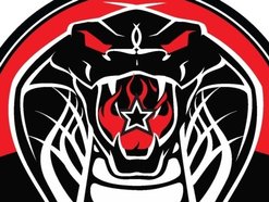 Cobra Lounge