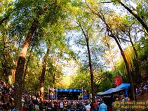 Wanee Festival (Spirit of the Suwannee Music Park)