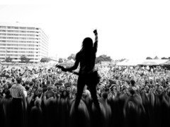 Fuse Fest