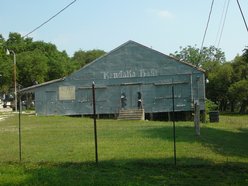 Kendalia Halle