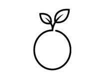 Moments of Awareness